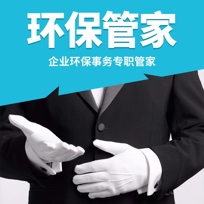 环境管理咨询环境管理咨询产品实拍图